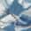 Blue color or pattern variation
