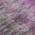 Eggplant color or pattern variation