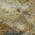 Khaki color or pattern variation