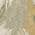 Wheat color or pattern variation