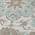 Gray color or pattern variation