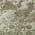 Olive color or pattern variation