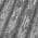 Gray color or pattern variation