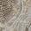 Taupe color or pattern variation