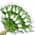 White color or pattern variation
