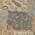 Gray color or pattern variation