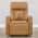 Saddle Brown color or pattern variation
