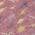 Mauve color or pattern variation