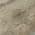 Beige color or pattern variation