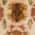 Rust/Green color or pattern variation
