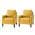 Yellow color or pattern variation