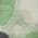Green color or pattern variation