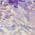 Purple color or pattern variation