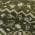 Olive color or pattern variation