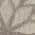 Silver Grey color or pattern variation