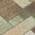 Olive color or pattern variation