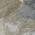 Beige color or pattern variation