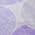 Lavender color or pattern variation
