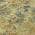 Gold color or pattern variation