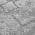 Gray color or pattern variation
