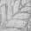 Gray color or pattern variation