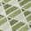 Fern color or pattern variation