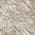 Beige color or pattern variation