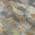 Gray color or pattern variation