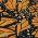 Orange color or pattern variation
