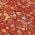 Red color or pattern variation