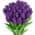 Purple color or pattern variation