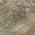 Brown color or pattern variation