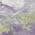 Lavender color or pattern variation