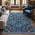 Blue color or pattern variation