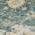 Teal color or pattern variation