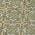 Olive color or pattern variation