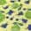 Yellow color or pattern variation