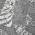 Gray color or pattern variation