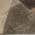 Brown color or pattern variation