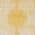 Yellow color or pattern variation