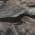 Granite color or pattern variation