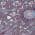 Plum color or pattern variation