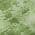 Green color or pattern variation