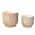 Tan and White color or pattern variation