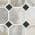 Natural color or pattern variation