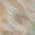 Coral color or pattern variation