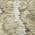 Taupe color or pattern variation