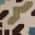 Cream/Aqua color or pattern variation