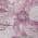 Plum color or pattern variation