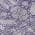 Purple color or pattern variation